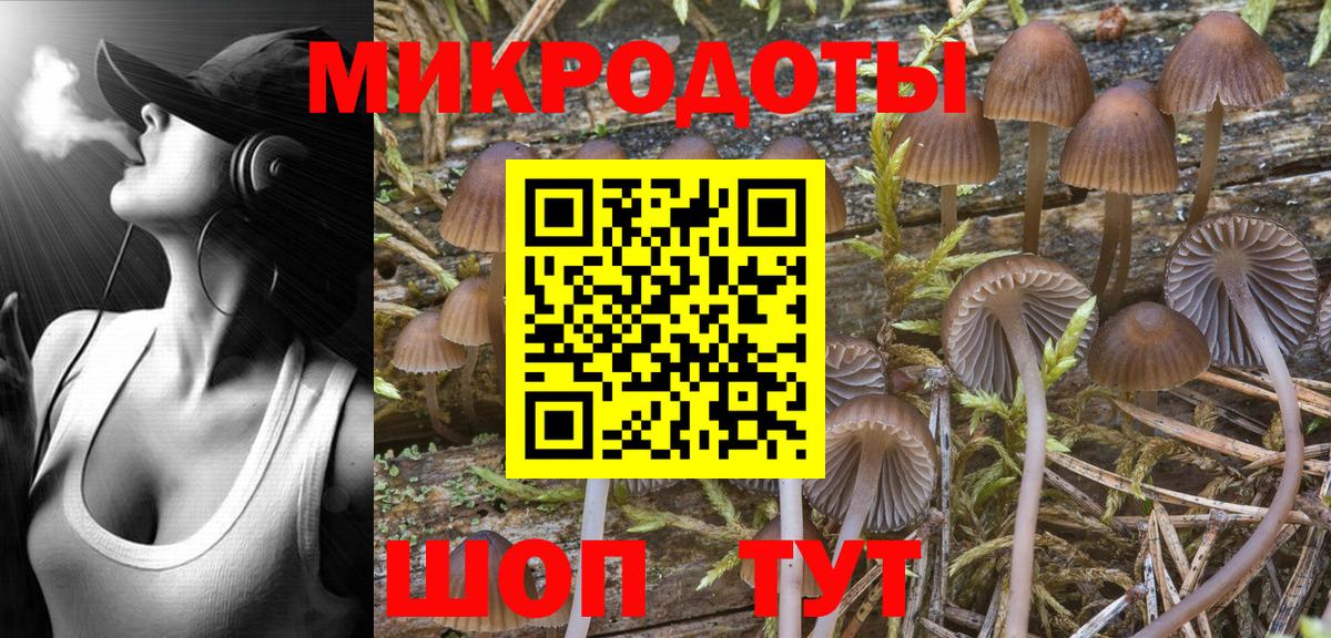 Галлюциногенные грибы MAGIC MUSHROOMS Шахты